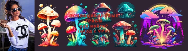 круглые Аркадак