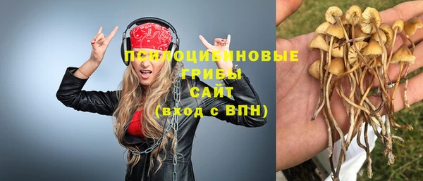 круглые Аркадак