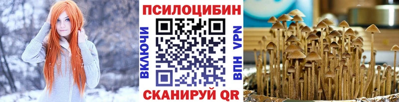 Галлюциногенные грибы мицелий  блэк спрут ссылки  Тында 